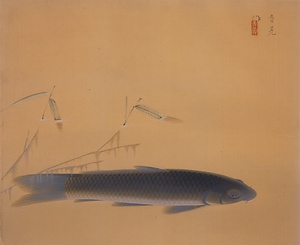 鯉図
