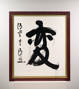 2008年「今年の漢字」『変』