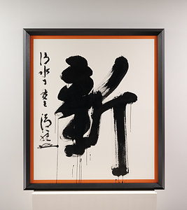 2009年「今年の漢字」『新』