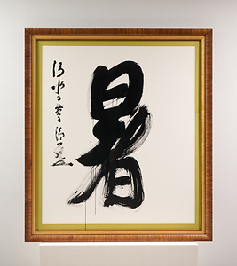 2010年「今年の漢字」『暑』
