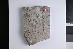 辛□□太千麻呂