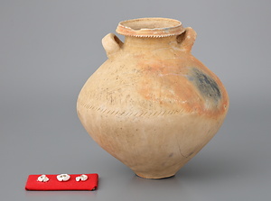 広口壺及び貝製品壺