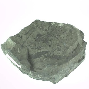 兵庫県産化石採集委託成果品（１９９０年度