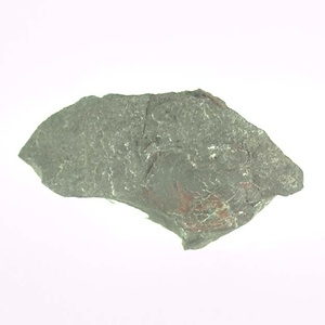 兵庫県産化石採集委託成果品（１９９０年度