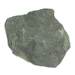 兵庫県産化石採集委託成果品（１９９０年度