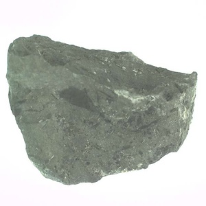 兵庫県産化石採集委託成果品（１９９０年度