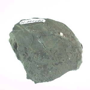 兵庫県産化石採集委託成果品（１９９０年度