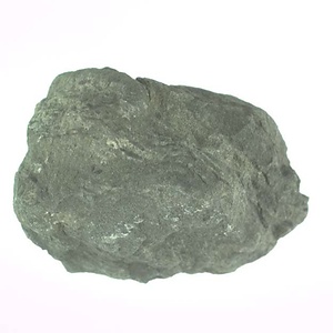 兵庫県産化石採集委託成果品（１９９０年度