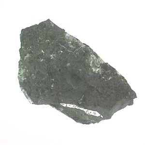 兵庫県産化石採集委託成果品（１９９０年度