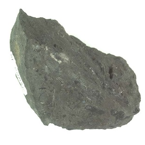 兵庫県産化石採集委託成果品（１９９０年度