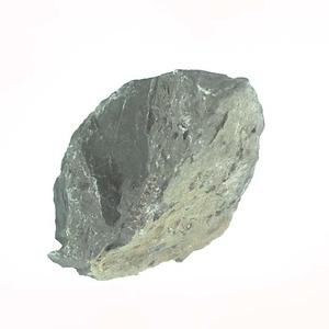 兵庫県産化石採集委託成果品（１９９０年度