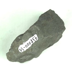 兵庫県産化石採集委託成果品（１９９０年度