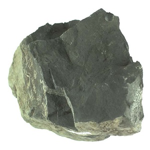 兵庫県産化石採集委託成果品（１９９０年度