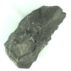 兵庫県産化石採集委託成果品（１９９０年度