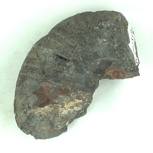 兵庫県産化石採集委託成果品（１９９０年度