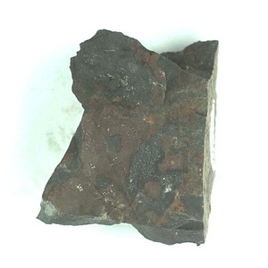 兵庫県産化石採集委託成果品（１９９０年度