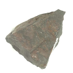 兵庫県産化石採集委託成果品（１９９０年度