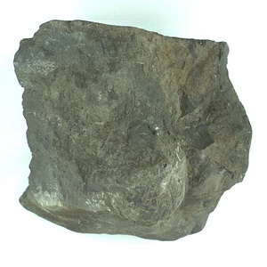 兵庫県産化石採集委託成果品（１９９０年度