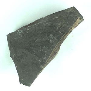 兵庫県産化石採集委託成果品（１９９０年度