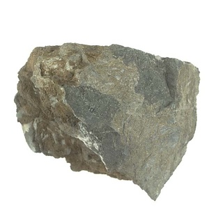 Monotis (Entomonotis) ochotica pachypleura-type