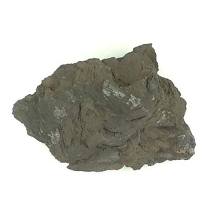 Monotis (Entomonotis) ochotica pachypleura-type