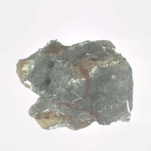 Monotis (Entomonotis) ochotica pachypleura-type