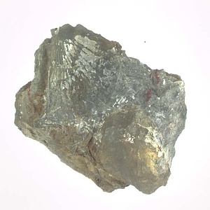 Monotis (Entomonotis) ochotica pachypleura-type