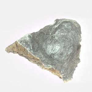 Monotis (Entomonotis) ochotica pachypleura-type