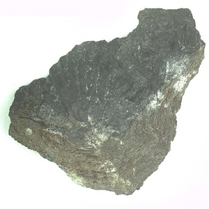 Monotis (Entomonotis) ochotica pachypleura-type