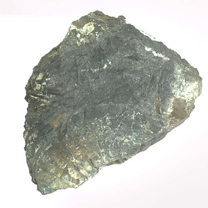 Monotis (Entomonotis) ochotica pachypleura-type