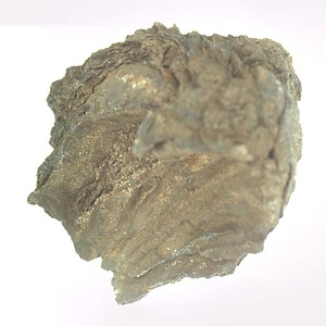 Monotis (Entomonotis) ochotica pachypleura-type