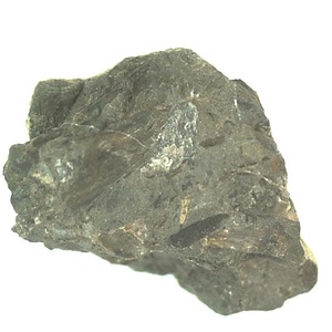 日本産中生代軟体動物化石