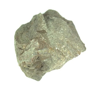 日本産中生代軟体動物化石