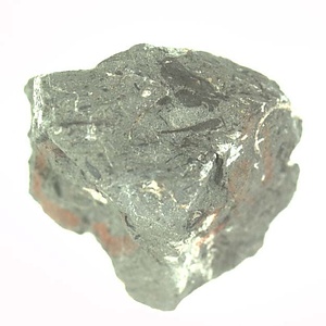 日本産中生代軟体動物化石