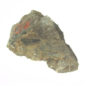 日本産中生代軟体動物化石