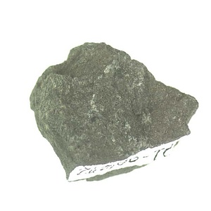 日本産中生代軟体動物化石