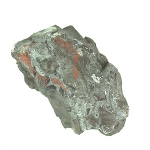 日本産中生代軟体動物化石