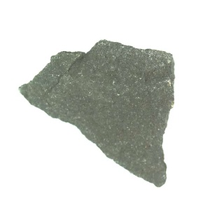 日本産中生代軟体動物化石