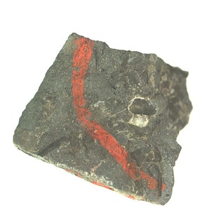 日本産中生代軟体動物化石