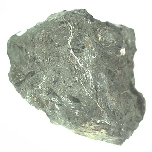 日本産中生代軟体動物化石