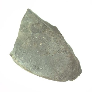 日本産中生代軟体動物化石