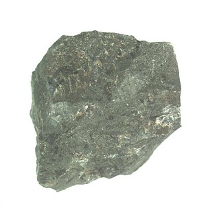 日本産中生代軟体動物化石