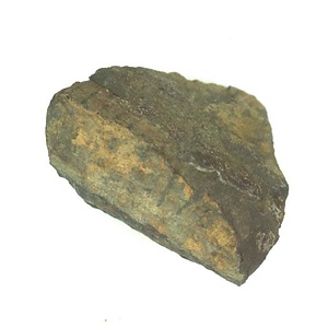 日本産中生代軟体動物化石