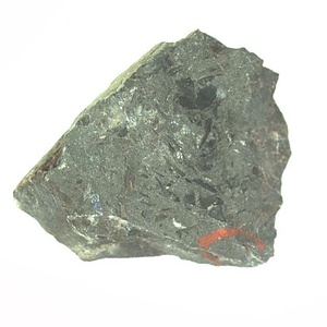 日本産中生代軟体動物化石