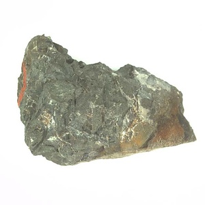 日本産中生代軟体動物化石