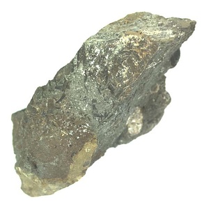 日本産中生代軟体動物化石