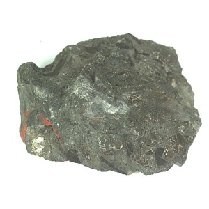 日本産中生代軟体動物化石