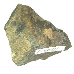 日本産中生代軟体動物化石