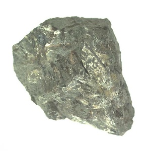 日本産中生代軟体動物化石