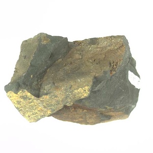 日本産中生代軟体動物化石